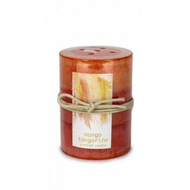 Tangerine Mango Pillar Candle 3x4 (pack of 1 EA)