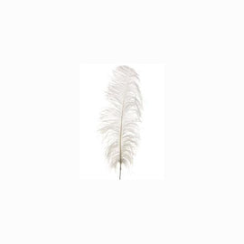 34" Luxurious White Ostrich Feather Decorative Spray Craft Pick