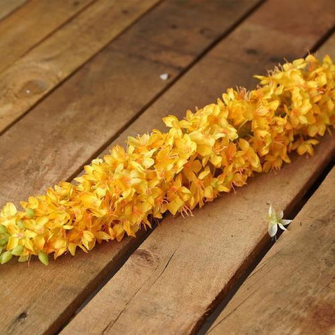 48" Yellow and Green Artificial Foxtail Decorative Floral Crafting Stem
