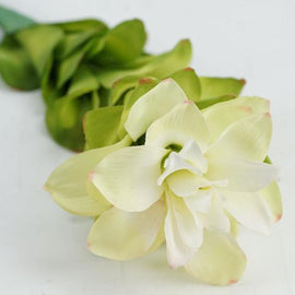 30" Cream White and Green Artificial Torch Ginger Flower Decorative Floral Crafting Stem