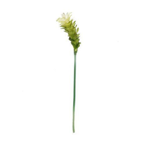 30" Cream White and Green Artificial Torch Ginger Flower Decorative Floral Crafting Stem