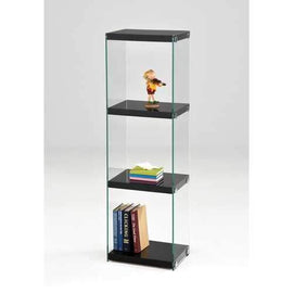 Acme Baxter Bookcase, Black & Clear Glass