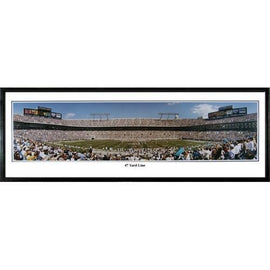 Carolina Panthers 47 Yard Line" - 13.5"x39" Standard Black Frame"