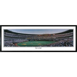 Cincinnati Reds Who's At Bat" - 13.5"x39" Standard Black Frame"