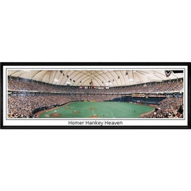 Minnesota Twins Homer Hankey Heaven"  - 13.5"x39" Standard Black Frame"