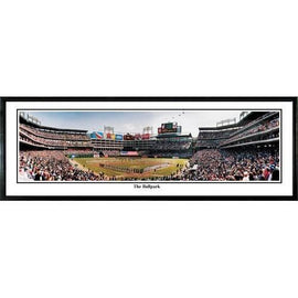 Texas Rangers The Ballpark" - 13.5"x39" Standard Black Frame"