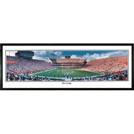 Florida Gators The Swamp" - 13.5"x39" Standard Black Frame"