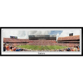 Florida Gators Gators"  - 13.5"x39" Standard Black Frame"