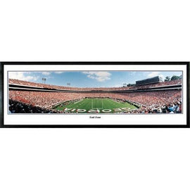Georgia Bulldogs End Zone" - 13.5"x39" Standard Black Frame"