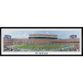 Louisiana State Tigers 45 Yard Line"  - 13.5"x39" Standard Black Frame"