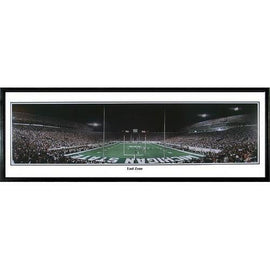 Michigan State Spartans End Zone" - 13.5"x39" Standard Black Frame"