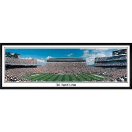 Penn State Lions 30 Yard Line"  - 13.5"x39" Standard Black Frame"