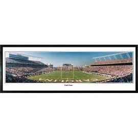 South Carolina Gamecocks End Zone" - 13.5"x39" Standard Black Frame"